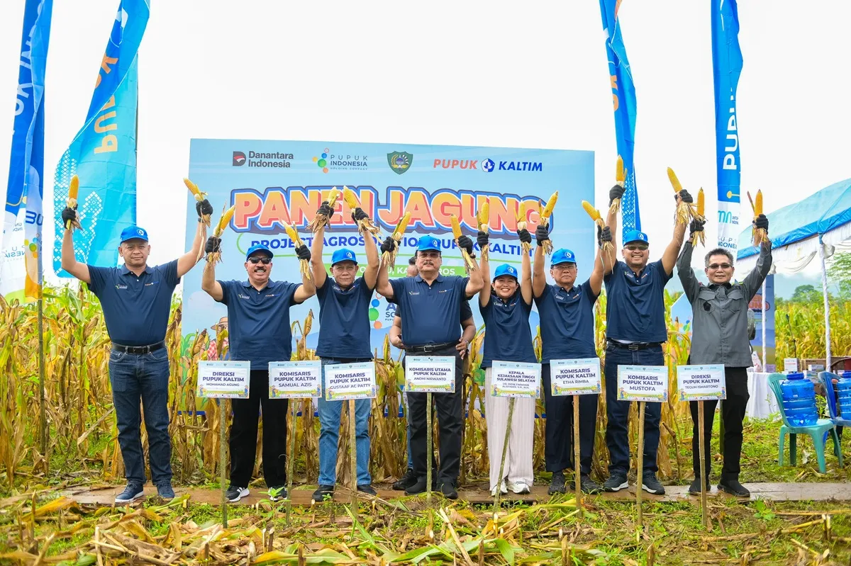 Sulap Lahan Maros, Agrosolution Pupuk Kaltim Dongkrak Panen Jagung 140 Persen: Tembus 12 Ton per Hektare