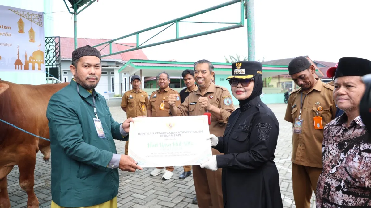 Sapi Kurban Presiden RI Berbobot 732,5 Kg Tiba di Bontang, Ini Penampakannya!