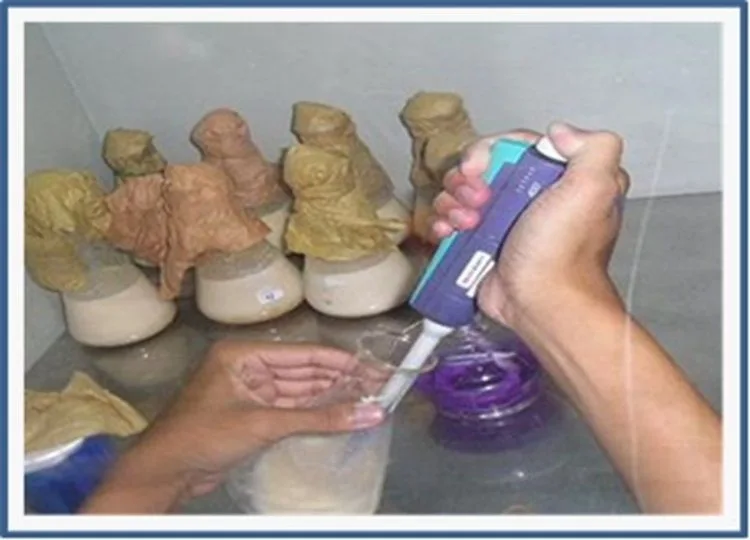 Efektivitas Probiotik Kolostrum Susu Kambing Pe (Peranakan Etawa) Sebagai Alternatif Terapi Infeksi Helicobacter pylori pada Kasus Gastritis