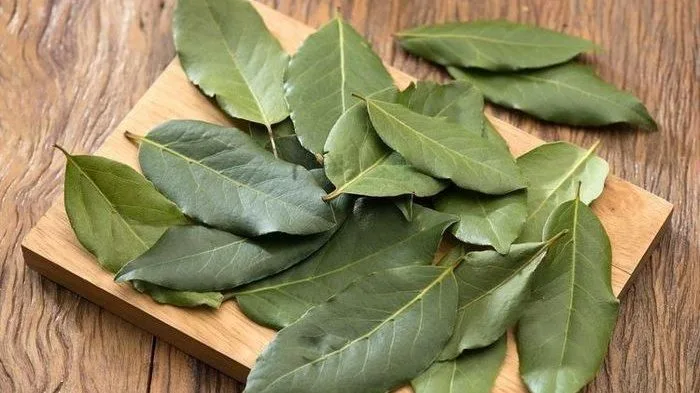 Lebih dari Sekadar Bumbu Dapur, Ini 5 Manfaat Daun Salam untuk Kesehatan