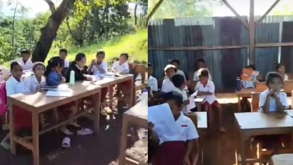 Bikin Nyesek! Video Viral Siswa SD Manggarai Barat Belajar di Bawah Pohon
