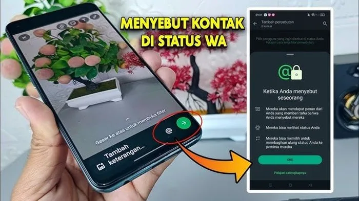 WhatsApp Makin Seru: Fitur Mention Kini Hadir di Status!