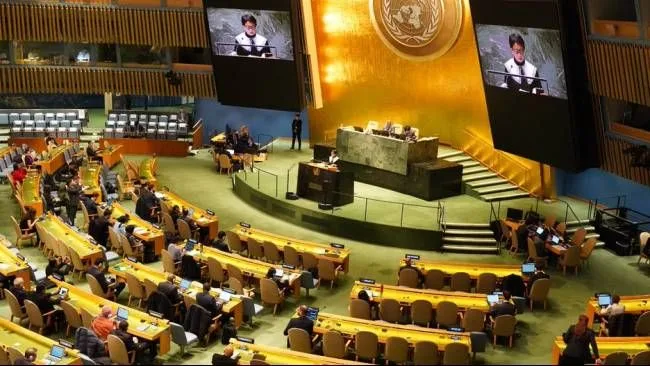 Kelompok Negara Berkembang D8 Minta AS Cabut Veto Palestina di PBB