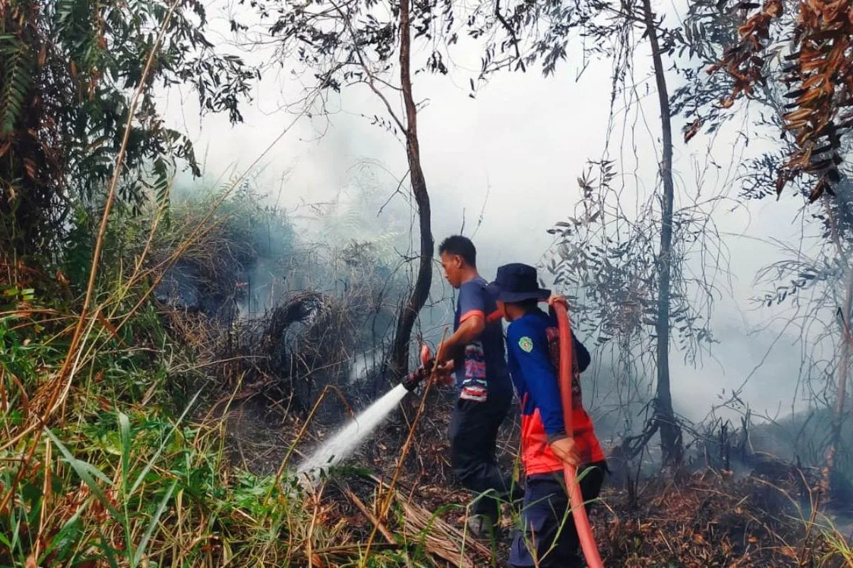 Jumlah Titik Panas di Kaltim Mulai Alami Penurunan, BMKG: Tetap Waspada Cuaca Panas