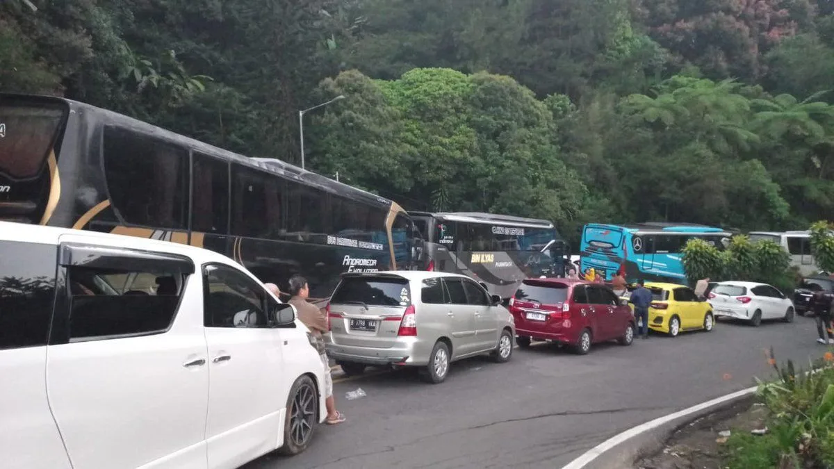 7 Fakta Penyebab Kemacetan Parah di Jalur Puncak saat Libur Panjang, Apa Saja?