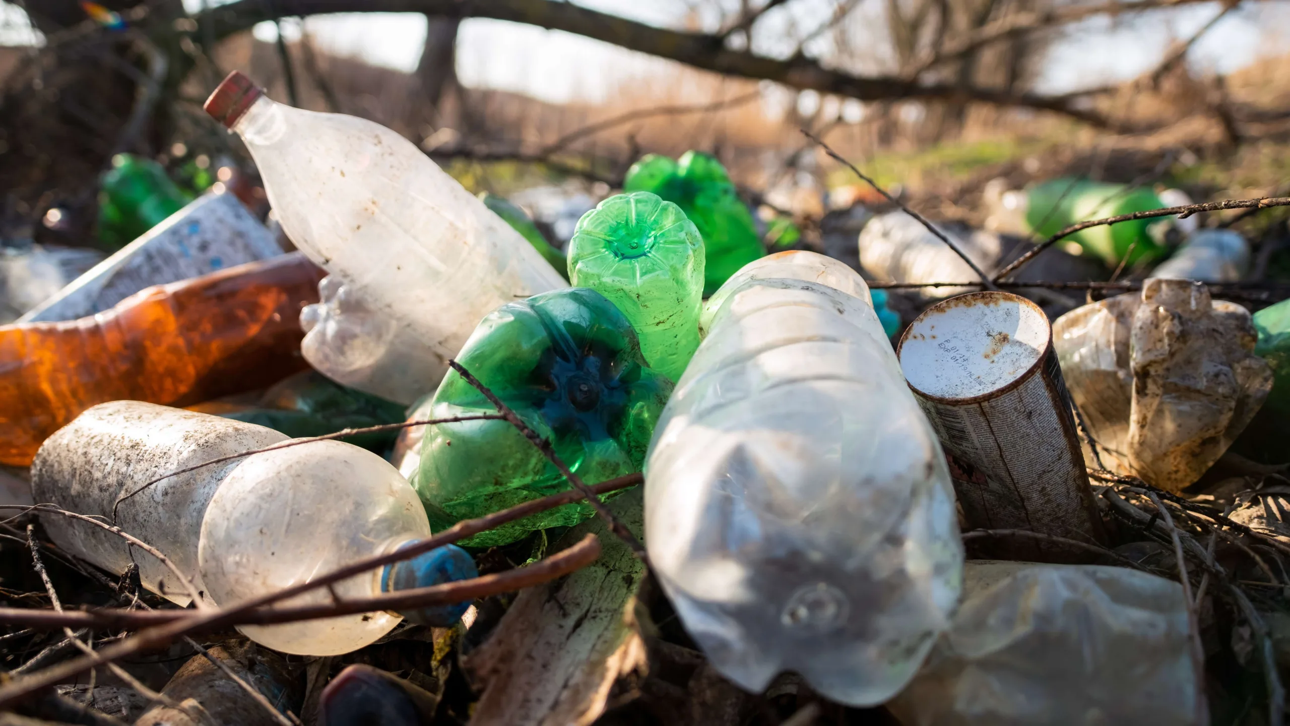 Indonesia Nomor Satu Konsumsi Mikroplastik, Bahaya Bagi Kesehatan?