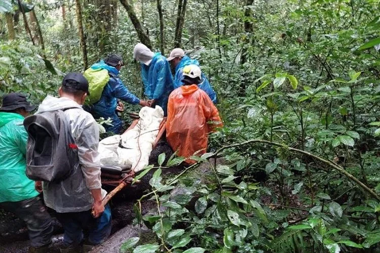 Pendaki Gunung Kerinci Dievakuasi Tim SAR, Butuh 10 Jam ke Tempat Korban
