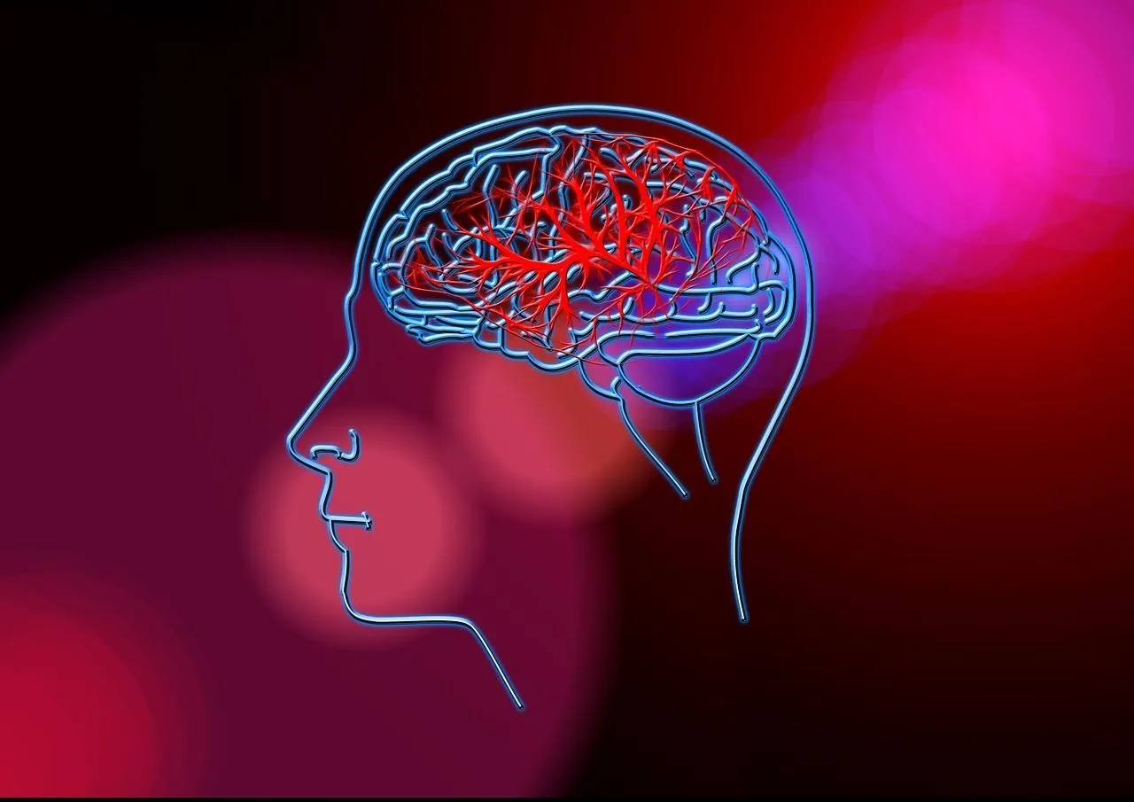 Dokter Spesialis Neurologi: Konsumsi Jenis Makanan Berikut Ini untuk Cegah Stroke