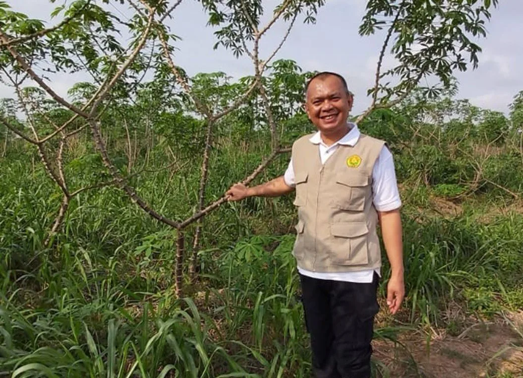 Prabowo Targetkan Swasembada Pangan, Pakar: Tantangan Berat, Tapi Berpeluang Besar