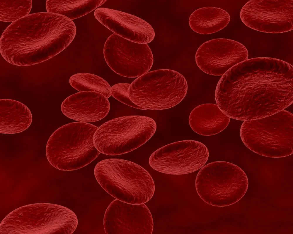 Talasemia: Penyakit Keturunan yang Bisa Dicegah dan Diobati, 10 Ribu Penderita Diperkirakan Hidup di Indonesia
