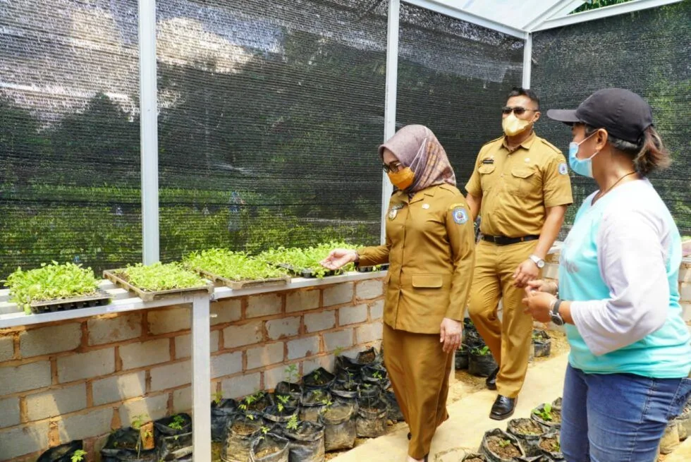 Apa Itu Urban Farming dan Manfaatnya? Begini Penjelasan Dosen UMM