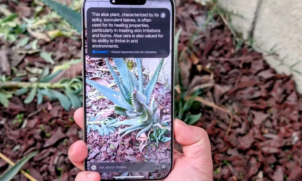 Cara Menggunakan Visual Intelligence di iPhone dengan iOS 18.2