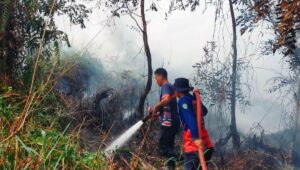 Ilustrasi: Petugas sedang memadamkan karhutla di Kecamatan Penajam, Kabupaten Penajam Paser Utara (PPU), Kaltim.