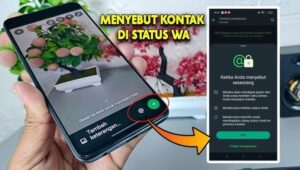 WhatsApp Makin Seru: Fitur Mention Kini Hadir di Status!