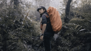 Potret musisi kenamaan Tanah Air, Fiersa Besari.