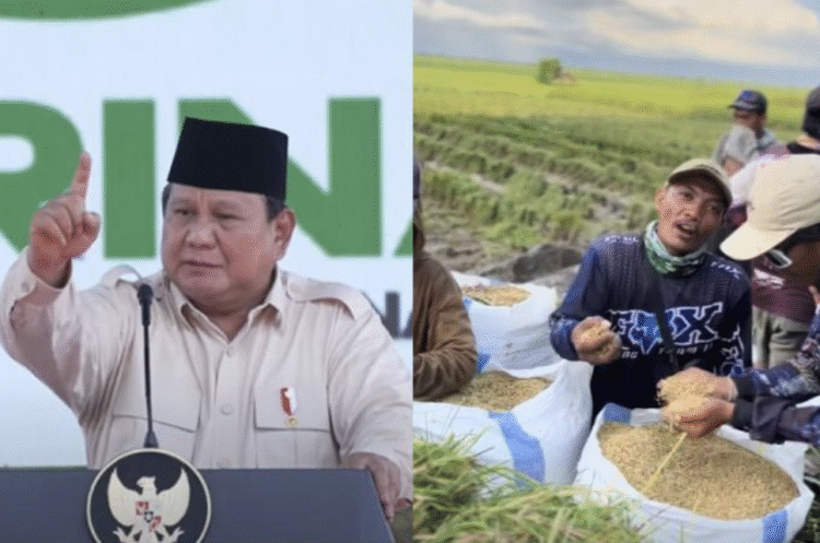 Presiden RI, Prabowo Subianto saat acara tanam raya di Sumatera Selatan (kiri) dan keluhan petani soal harga gabah yang anjlok di Lampung (kanan).